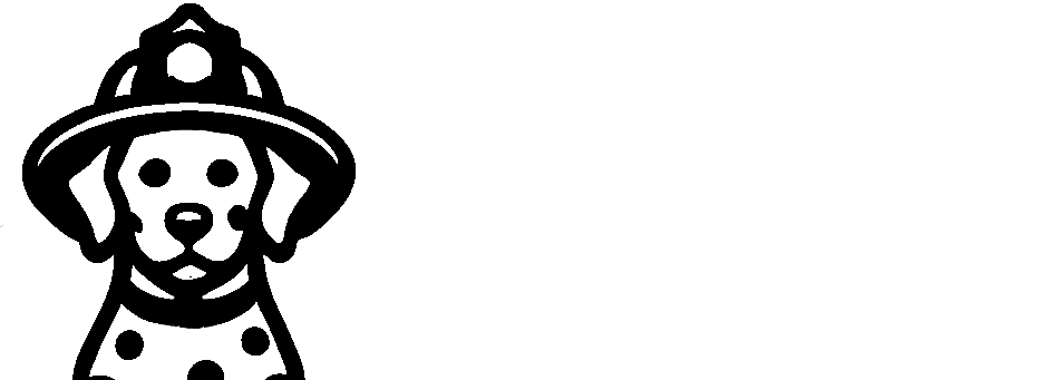 FIDO Logo